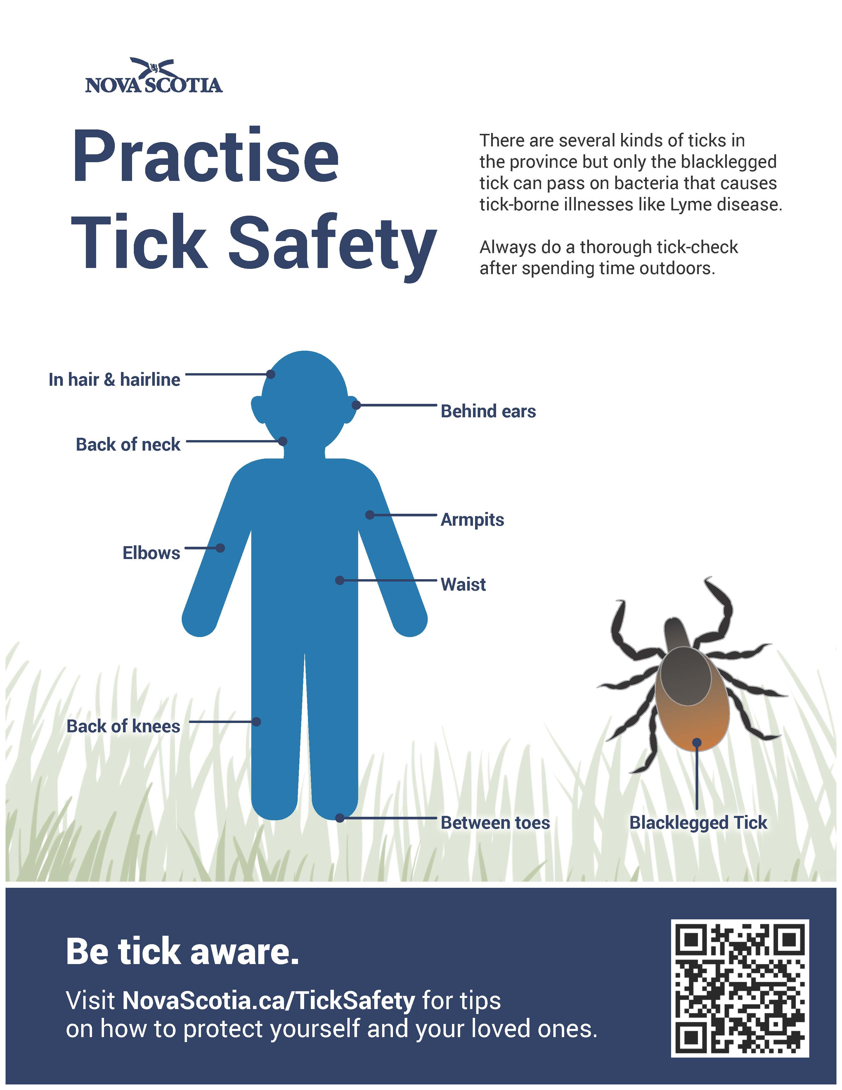 Ticks Campaign Poster